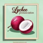 lychee pronunciation